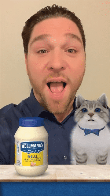 Hellmann's Mayo Cat